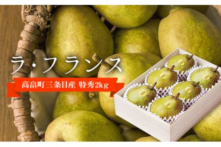 梨 特秀 - フルーツの人気商品・通販・価格比較 - 価格.com