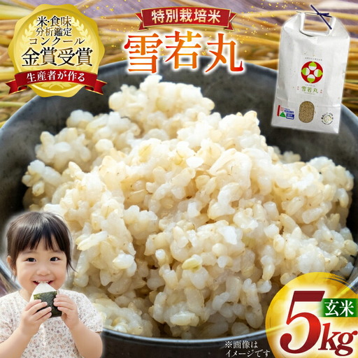 米 令和7年産 雪若丸 5kg 特別栽培米 玄米 [農家の蔵出し米生産組合 山形県 高畠町 tk06ays900005]