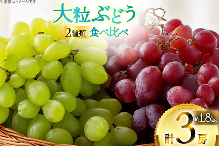 yԌ蔭z sI[l VC}XJbg 2 Hה Zbg 1.8kg [la R`  tk06ayt020006]