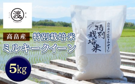 山形県高畠産特別栽培米 ミルキークイーン 5kg F20B-185
