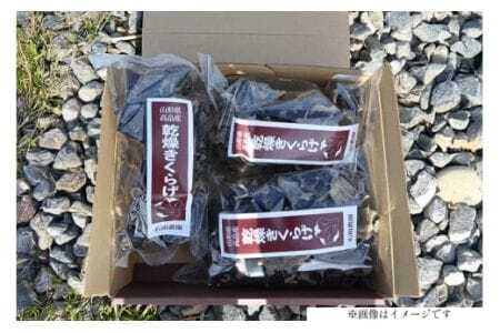 乾燥 きくらげ 45g 1袋 60g 2袋 計3袋 [石田農園 山形県 高畠町 tk06ayt100000] 木耳 キクラゲ 野菜 やさい
