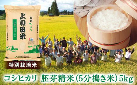 令和6年度 山形県 高畠町産 特別栽培米 コシヒカリ 胚芽精米(5分搗き米)5kg お米 白米 ブランド米 ごはん ご飯 F21B-259