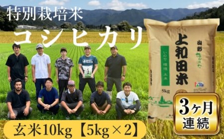 上和田有機米生産組合 特別栽培米コシヒカリ玄米10kg 3ヶ月定期便 F20B