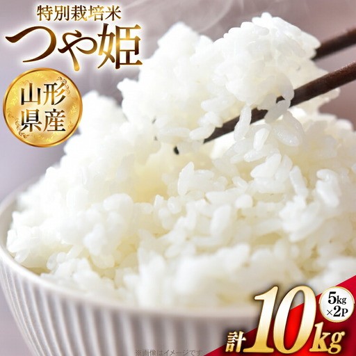 米 令和7年 特別栽培米 つや姫 5kg 2P 計 10kg [JA山形おきたま 山形県 高畠町 tk06ays870002]