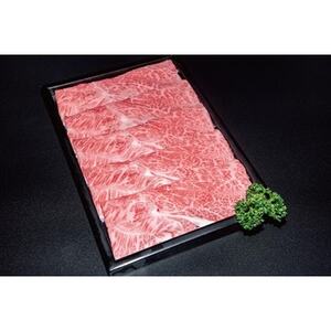 yIđA-5zĂp 1.3kg(650g×2)@(①)_ Ă  ₫ XLL   đ   r[t_yzsnFEkCEꌧEMzAkECEߋEE