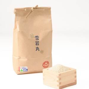 yߘa7NYzʍ͔|ہ@ 5kgy1676081z