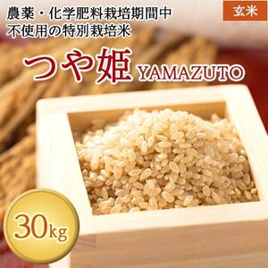 s\@ߘa7Nʍ͔|ā@PYAMAZUTO@30kgy1668049z