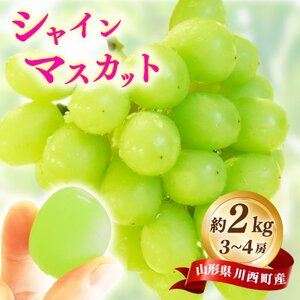 [先行予約]令和8年産 シャインマスカット 約2kg(3房〜4房)[配送不可地域:離島]