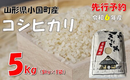 [令和6年新米 先行予約]コシヒカリ5kg