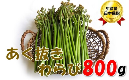 [通常配送]採れたて山菜 あく抜きわらび 200g×4束