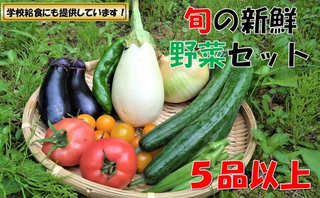 [数量限定]小国の旬の新鮮野菜セット 5品以上