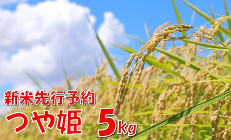 [令和7年産米 先行予約]つや姫5kg 高橋