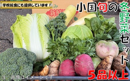 [数量限定]小国の旬の新鮮冬野菜セット 5品以上