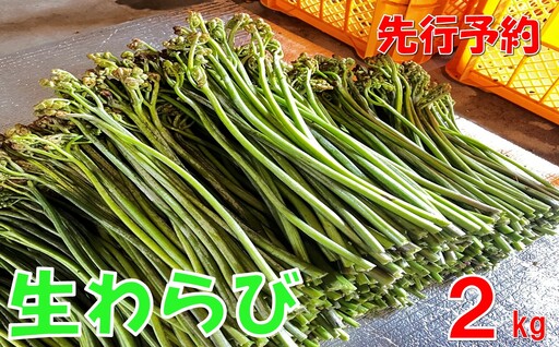 [先行予約・数量限定]採れたて山菜 生わらび2kg