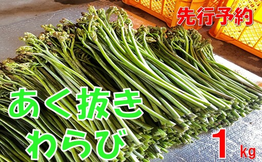 [先行予約・数量限定]採れたて山菜 あく抜きわらび1kg