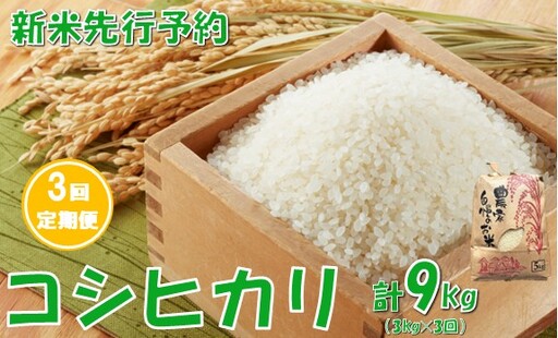 [3回定期便][令和8年産米 先行予約]コシヒカリ3kg 計9kg 佐藤