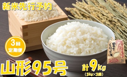 [3回定期便][令和8年産米 先行予約]山形95号 3kg 計9kg 佐藤