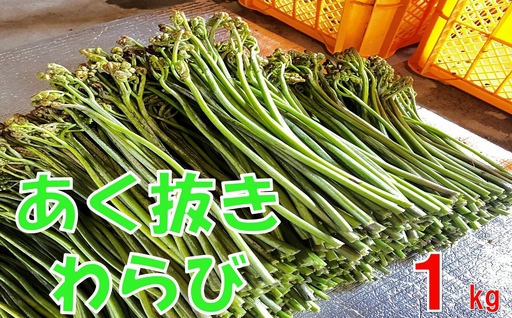 [通常配送]採れたて山菜 あく抜きわらび1kg