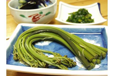 [先行予約]採れたて山菜 あく抜きわらび 200g×4束 限定100