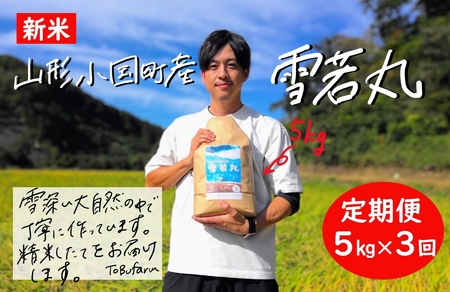 [3回定期便]令和6年産 山形県小国町産 雪若丸・5kg