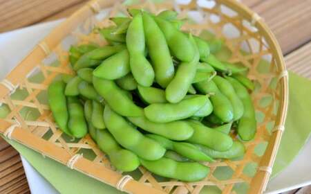 えだまめ (品種おまかせ) 約2kg (約250g✕8) 枝豆 上杉まめ 豆類 [2025年8月上旬-9月上旬発送予定]