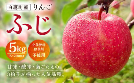 白鷹町産りんご （ふじ） 5kg りんご 林檎 果物 くだもの フルーツ 旬 ふじ 国産 山形県 白鷹町 【2026年11月下旬～12月上旬発送予定】