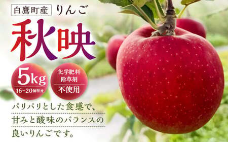 白鷹町産りんご (秋映) 5kg りんご 林檎 果物 くだもの フルーツ 旬 秋映 国産 山形県 白鷹町 [2026年9月下旬〜10月上旬発送予定]