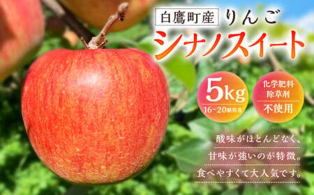 白鷹町産りんご (シナノスイート) 5kg りんご 林檎 果物 くだもの フルーツ 旬 シナノスイート 国産 山形県 白鷹町 [2026年9月下旬〜10月上旬発送予定]