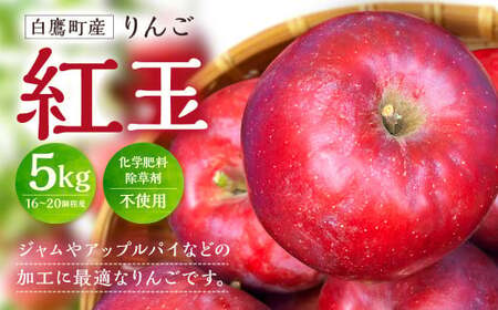 白鷹町産りんご (紅玉) 5kg りんご 林檎 果物 くだもの フルーツ 旬 紅玉 国産 山形県 白鷹町 [2026年9月下旬〜10月上旬発送予定]