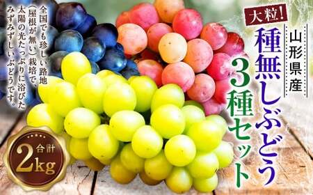 たっぷり日光を浴びたみずみずしい 種無しぶどう3種セット (シャインマスカット+旬なぶどう) 2kg [2025年9月下旬〜10月上旬に順次発送予定]