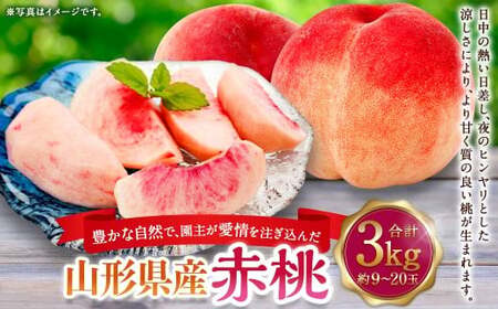 豊かな自然で、園主が愛情を注ぎ込んだ桃(赤桃) 約3kg (9玉〜20玉) ご家庭用 果物 くだもの 夏果実 フルーツ 産地直送 [2025年8月順次発送予定]