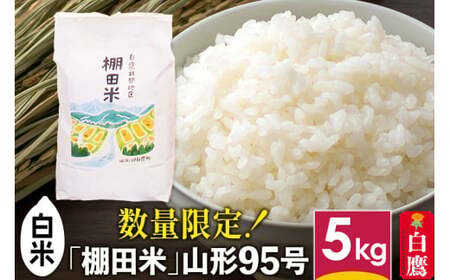 [白米]山形県産 棚田米 白鷹ほまれ 5kg 山形95号 令和7年産 米 お米 精米 コメ おこめ ごはん ご飯 白米 5キロ [2025年10月下旬順次出荷予定]