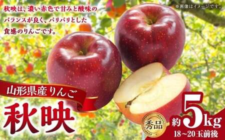 山形県産りんご 秋映 約5kg 秀品 ご家庭用(18〜20玉前後) 林檎 果物 くだもの フルーツ 旬 国産 山形県 白鷹町 [2025年10月下旬順次発送予定]