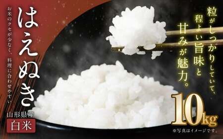 yߘa7NYVāzqār͂ʂ 10kg 1̂͂ R`Y V  y2025N11{Jn\z