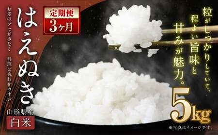 [3ヶ月定期便][令和7年産新米][白米] はえぬき 5kg×3回 計15kg 山形県産 新米 お米 [2025年11月上旬発送開始予定]