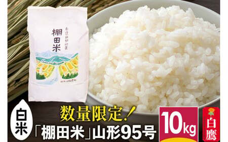 【白米】山形県産 棚田米 白鷹ほまれ 10kg 【令和7年産】 山形95号 令和7年産 米 お米 精米 コメ おこめ ごはん ご飯 白米 10キロ
