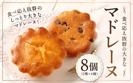 大きい!マドレーヌ(プレーン・チョコチップ) 8個 お菓子 菓子 デザート スイーツ マドレーヌ ビッグ BIG プレーン チョコチップ