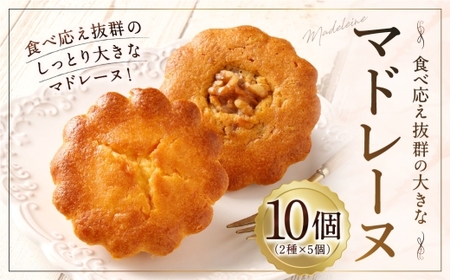 大きい!マドレーヌ(プレーン・くるみ) 10個 お菓子 菓子 デザート スイーツ マドレーヌ ビッグ BIG プレーン くるみ