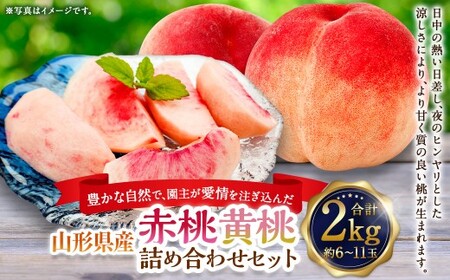 園主が愛情を注ぎ込んだ 桃 (赤桃・黃桃) 詰め合わせ 約2kg (6〜11玉) 山形県産 果物 くだもの 夏果実 フルーツ [2026年8月発送予定]