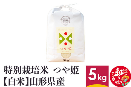 特別栽培米 つや姫 5kg 【白米】 山形県産 【船山ファーム】令和5年産