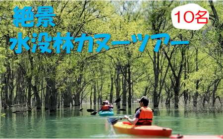 絶景 水没林カヌープレミアムツアー(10名様分)癒しの自然満喫プレミアムアクティビティ