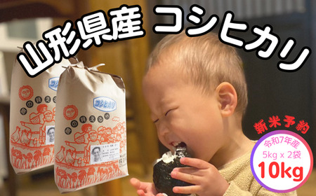 生産者の顔が見える米 コシヒカリ 白米 10kg(飯豊町産)[新米予約](R7年産)