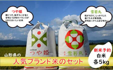 人気のブランド米 つや姫、雪若丸 白米セット(つや姫、雪若丸白米各5kg)(飯豊町産)[新米予約](R7年産)[価格改定]