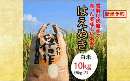 人気のブランド米 はえぬき 白米 10kg(飯豊町産)[新米予約](R7年産)[価格改定]