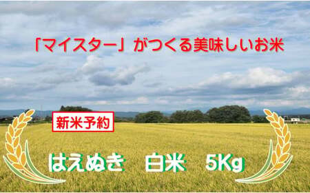 マイスターがつくる はえぬき 白米 5kg(飯豊町産)[新米予約](R7年産)