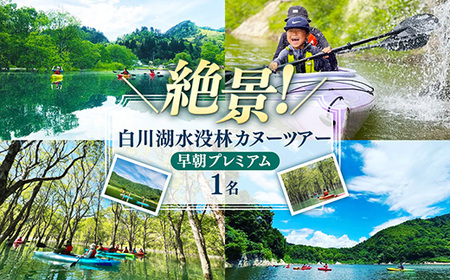 水没林カヌー[早朝プレミアム](1名様分)- 体験 チケット 自然 白川湖