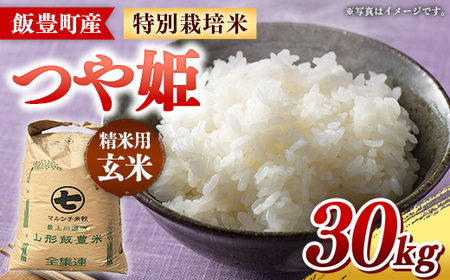 �y�ߘa7�N�Y�z�іL���Y ���ʍ͔|�Ă�P ����30�s �� ���͂� ����