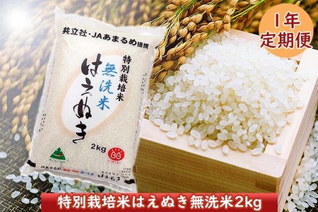 [12月開始]庄内米1年定期便! 特別栽培米はえぬき無洗米2kg(入金期限:2024.11.25)