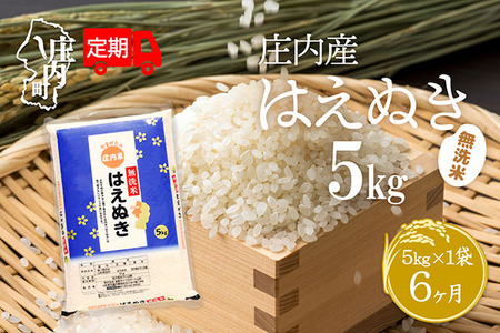 [6月中旬発送]庄内米6か月定期便!はえぬき無洗米 5kg(入金期限:2025.5.25)