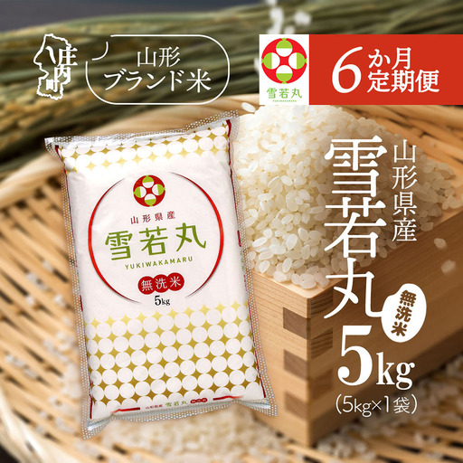 【6か月定期便】特A 山形米 雪若丸 無洗米 5kg 毎月 5kg×1袋 令和7年産 / 令和8年産 ブランド米 米 山形 庄内平野 定期【7月中旬発送/入金期限：2026年6月25日】